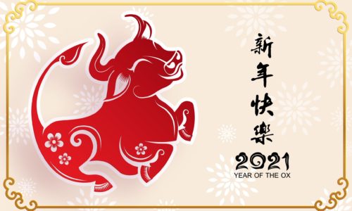 lunar new year ox